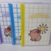 Cuadernos tamaños A5(15x20)