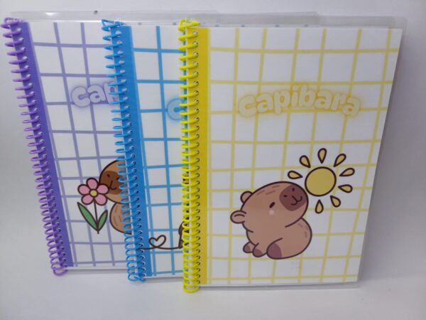 Cuadernos tamaños A5(15x20)