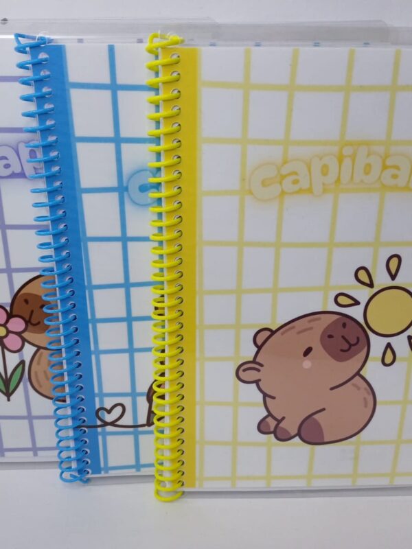Cuadernos tamaños A5(15x20)